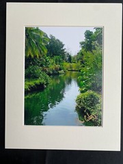 11 X 14 Matted Photo – signed by photographer Marie Whitton- WATER GARDEN