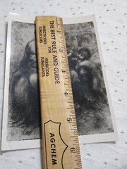 VTG RPPC LEONARDO DA VINCI THE VIRGIN & CHILD S. ANNE & INFANT S. JOHN POSTCARD