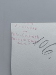 🐈 Photo Boy with Cat approx. 1961, 6×8 cm, GDR, Reverse Photographer Stamp