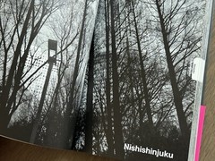 🎈Mega RARE SIGNED! Daido Moriyama – Tokyo, Japan, 2020, Guide, Araki