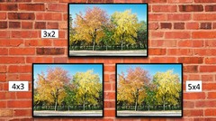 Fall Trees 1, High Resolution Image, Many Formats, TV Art