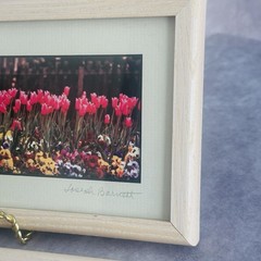 Signed Joseph Barnett Floral Photo Prints Set Maine Artist Framed Garden 6×12