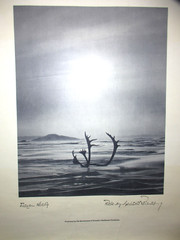 Gerhard Reimann FROZEN NORTH Photograph Canada’s Northwest Territory 20×16