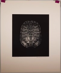 Charles Fendrock ‘Turtle, Top’ Unframed B&W Photograph – Large Format