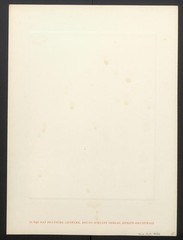 Photograph Copper Intaglio Heinz Hajek-Halke Nude Woman Nude Oiled Brunette