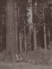 c1900/72 EDWARD CURTIS Native American Indian Klamath Tribe Forest Photo Gravure