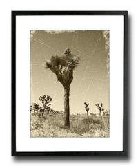 Joshua Tree Sepia 12″ x 16″ Fine Art Print Vintage Style