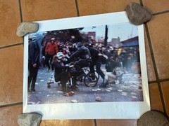 Janine Gordon Photograph 60″x72″ C-print Edition Grid Bike Kill Signed Fine Art