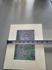 Photography Print By John T Slonina Matted 8×10 Field Of Lupine Flowers