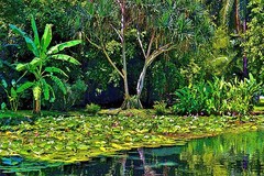 Photo of Tahitian lagoon. 24″x16″x.75″ photo on canvas and mounted by D M Haub.
