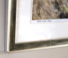 BOBCAT KITTEN Wildlife Baby Photography 249/450 Signed Matted Framed 18×15 Sweet