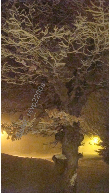 Mystical Dreamy Image JPG PNG