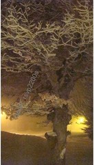Mystical Dreamy Image JPG PNG