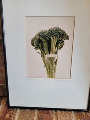 Michael Craven Fine Photography «Broccula» 1994 Signed Framed 70/300 Print 1998