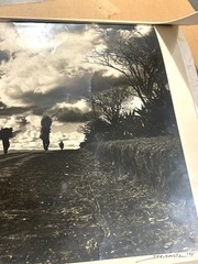 Original Joseph Janney Steinmetz Gelatin Silver Print On Fiber Paper Inscribed**