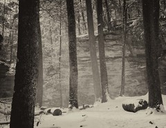 LANDSCAPES 8.5×11 or 13X19 BORDERLESS GLOSSY PRINT (FREE SHIPPING)