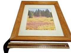 Steamboat Springs Hot Air Balloon Nature Landscape Wood Framed Wall Art lot 3