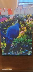 11x14in Canvas Print For Sale