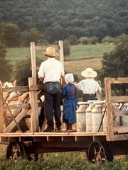 Bill Coleman Signed Amish No 682 AP Matted Photograph Farmers Horse Wagon
