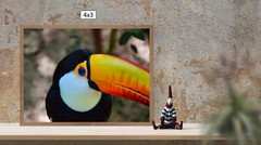 Toucan in the Wild, High Resolution Image, Many Formats, TV Art