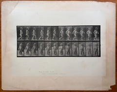 Eadweard Muybridge. # 468. Child, Walking. Original Collotype (1887)