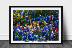 Bluebonnets Photography Print Wildflower Picture Texas Photo Nature Decor