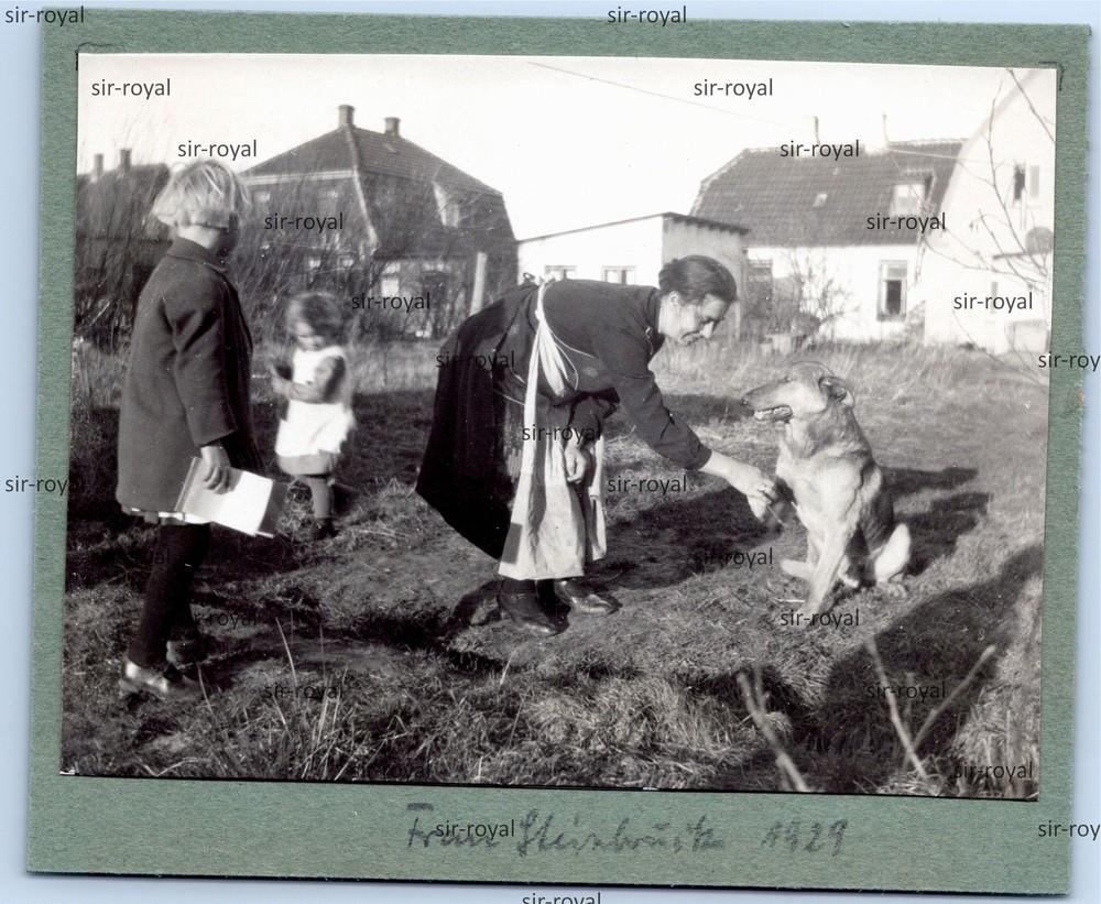 Woman Giving German Shepherd Hands 1929 in Garden – 1920s – Photo 12x10cm
