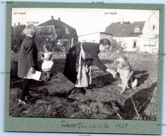Woman Giving German Shepherd Hands 1929 in Garden – 1920s – Photo 12x10cm