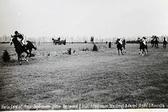19534 Photo Noris Cordial Price Hunting Horses Run Dortmund 1951 Fantassin Xaver