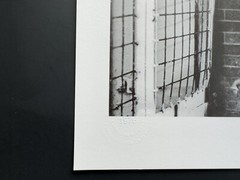 Fidel Castro and the Caged Tiger – Symbolic Moment by Korda Vintage Print