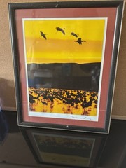 Sandhill Crane Photograph Signed