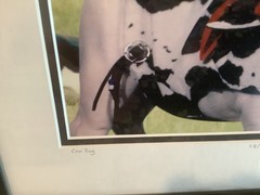 John Hartung “ Cow Dog” Bulldog In Holstein Pasture Photo Numbered 28/250 Signed
