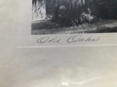 Original Vintage Photography from C. Bennette Moore signed Old Oaks Louisiana