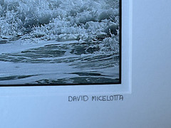 DAVID MICELOTTA HAND SIGNED PHOTOGRAPH COASTAL SEASCAPE SEAGULL BIRD AND WAVE