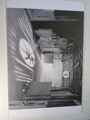 Elliot Erwitt Black And White Print