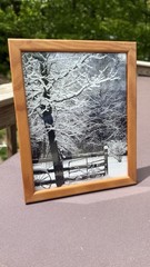 Original photograph, ‘Snow Cover’ by Serene Scenes in Maine, 8 x 10, wood frame