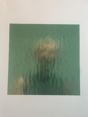 Ann Hamilton Signed and numbered Print titled, «Flectere,» 2000
