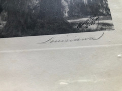 Original Vintage Photography from C. Bennette Moore signed Old Oaks Louisiana
