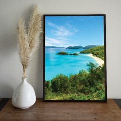 Trunk Bay, St John Beach Photography Wall Art Decor, US Virgin Islands, USVI