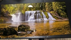 Marshall R. Mahler Soul of the River Metal Photograph 20×40 Signed COA Nature