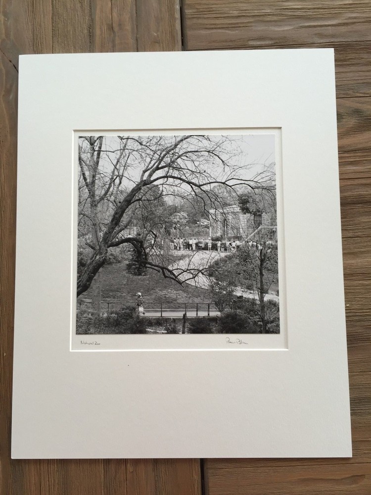 BRUCE BLUM Matted & SIGNED B&W Photo Print (10″X10″)- National Zoo»