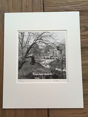 BRUCE BLUM Matted & SIGNED B&W Photo Print (10″X10″)- National Zoo»