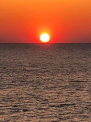 Beautiful Nature Photographs, Archival Quality Prints, Matted and Signed