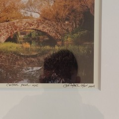 Michael Chen Signed Limited Edition Photo Set of 3 Matted & Framed Central Park