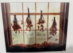 Michael Stipek «Winter Berries» Signed Fine Art Photograph Framed 13.5 x 17.5