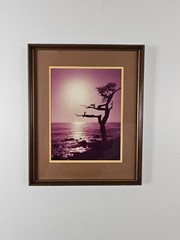 ART – VTG Original Signed Karl Bonfert 35mm Photograph CA 21.25×17.25 Framed Art