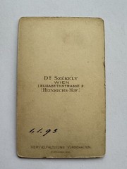 orig. CDV photo photograph old picture woman lady fashion around 1893 Vienna Szekely
