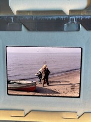 Lot Of 35 1964 Winter Flowers Lake Life Vacation Amateur 35mm Color Slides