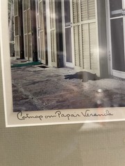 ANONYMOUS MCM STYLE FINE ART PHOTOGRAPH OLD SOUTH CAT ON PAPA’S PORCH FRAMED ’02