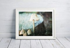 Wild Mushroom Fine Art Wall Print – Botanical Dreamy Home Decor